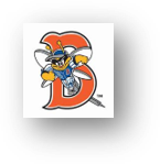 Binghamton Bees